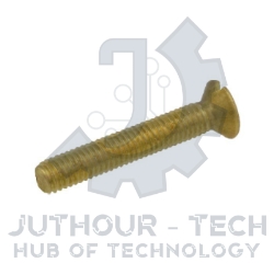 M2.5x20mm Slotted Pan Head Screw Brass