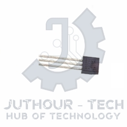 DS 18B20 Temperature Sensor Side